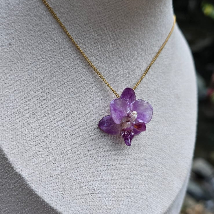 Collar orquídea Phalaenopsis