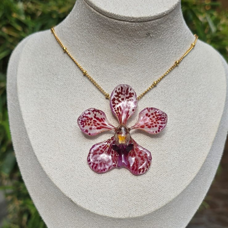 Collar orquídea Vanda