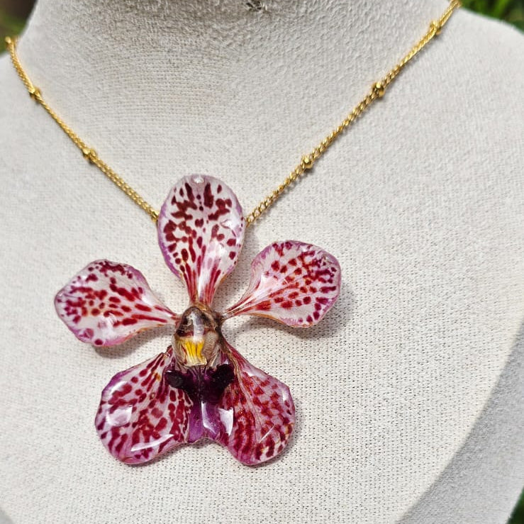 Collar orquídea Vanda